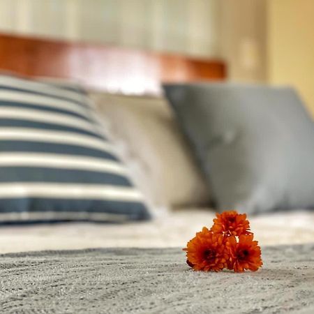 Pousada Flor De Canela Εξωτερικό φωτογραφία